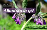 Allantoin có trong mỹ phẩm