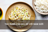 tác dụng của giá đỗ đối với nam giới