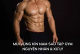 Mùi vùng kín nam sau khi tập gym: Nguyên nhân & cách xử lý hiệu quả