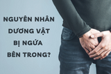 Nguyên nhân dương vật bị ngứa bên trong, cách xử trí hiệu quả