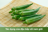 tác dụng của đậu bắp với nam giới