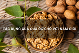 tác dụng của quả óc chó với nam giới