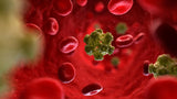 virus hpv sống bên ngoài bao lâu